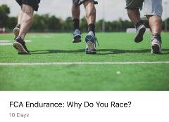 FCA Endurance FCA Endurance